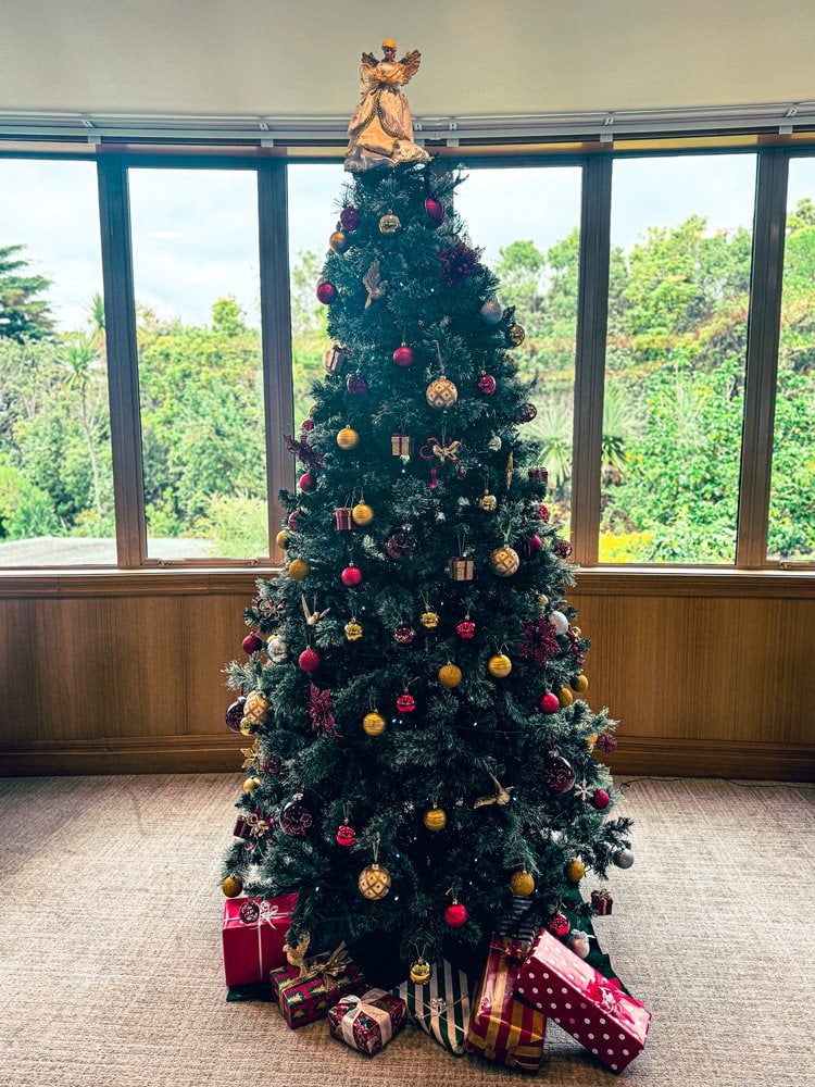 Experience the enchantment of Christmas at Fairview Lifestyle Village